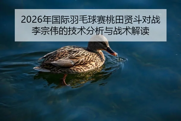 2026年国际羽毛球赛桃田贤斗对战李宗伟的技术分析与战术解读