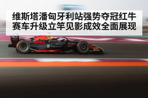 Max Verstappen racing